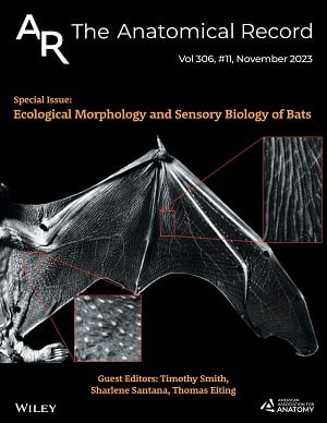 Special Issue: Turtle Evolution